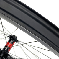 What are the Advantages of Tubeless-Ready for Bicycle Wheelset?