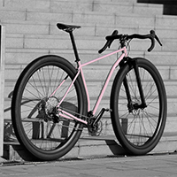 Pictures Shared by Luca F. from Italy: 36 inch Carbon Bicycle